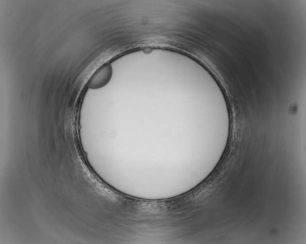 X0000114540901200911301159