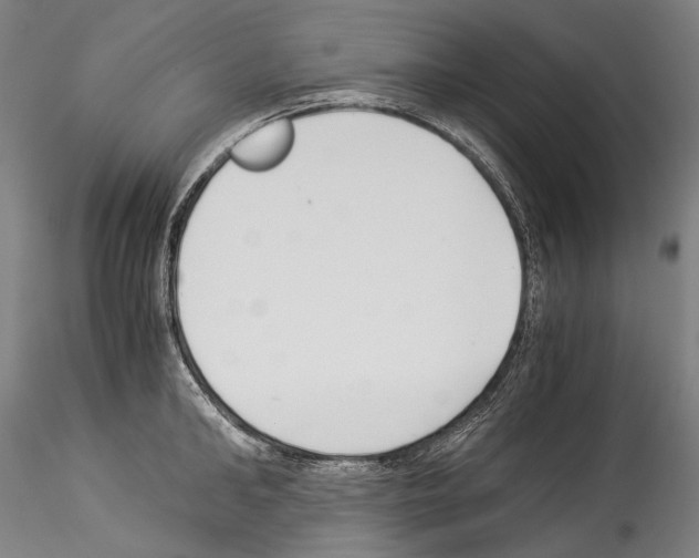 X0000114540902200911301159