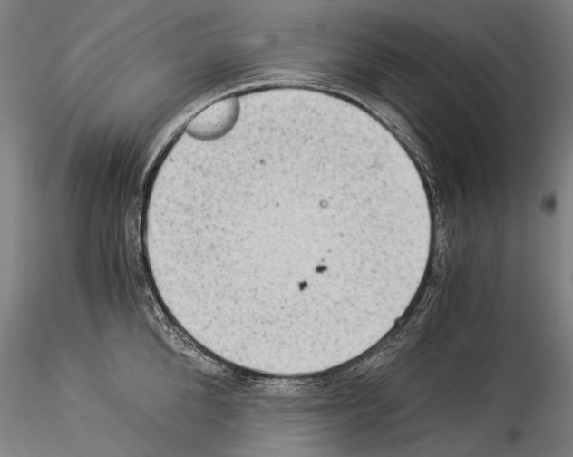 X0000114540904200911301159