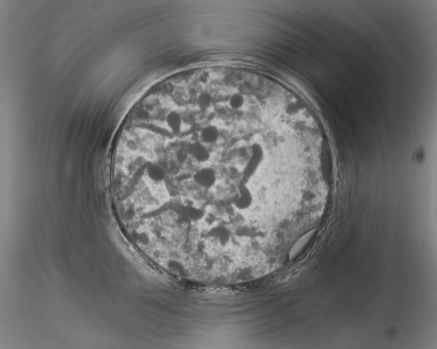 X0000114540907200911301159