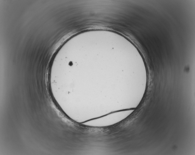 X0000114540909200911301159