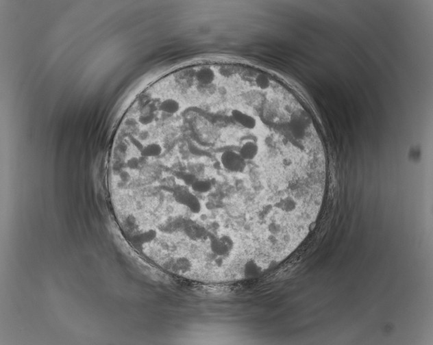 X0000114540911200911301159