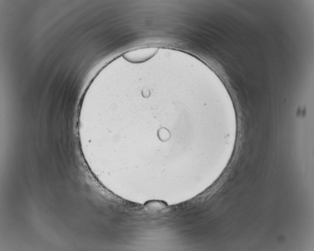 X0000114540912200911301159