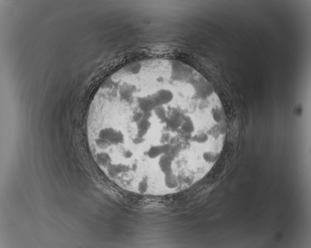 X0000114540913200911301158