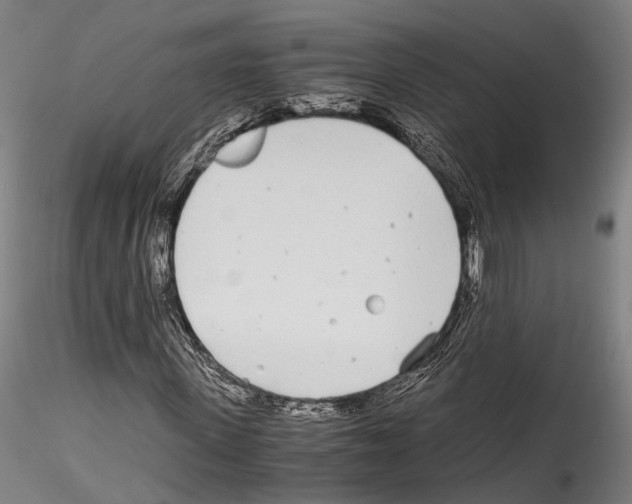 X0000114540915200911301158