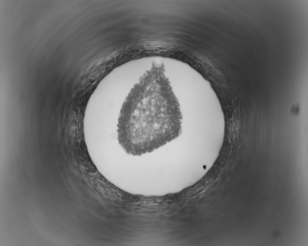 X0000114540917200911301158