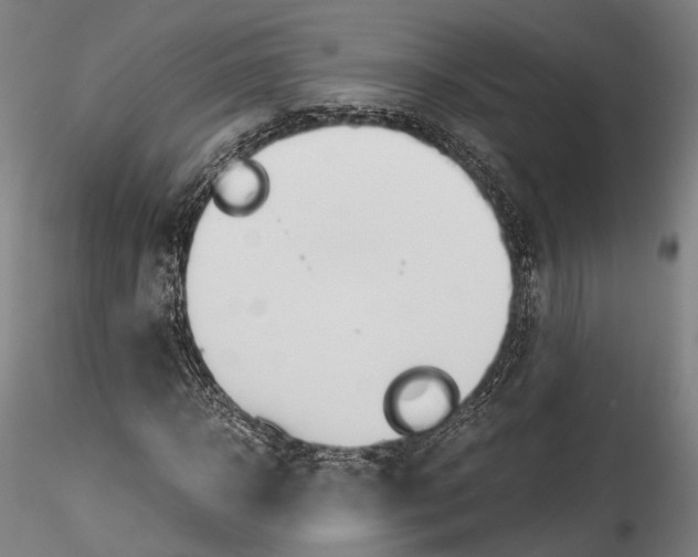 X0000114540918200911301158