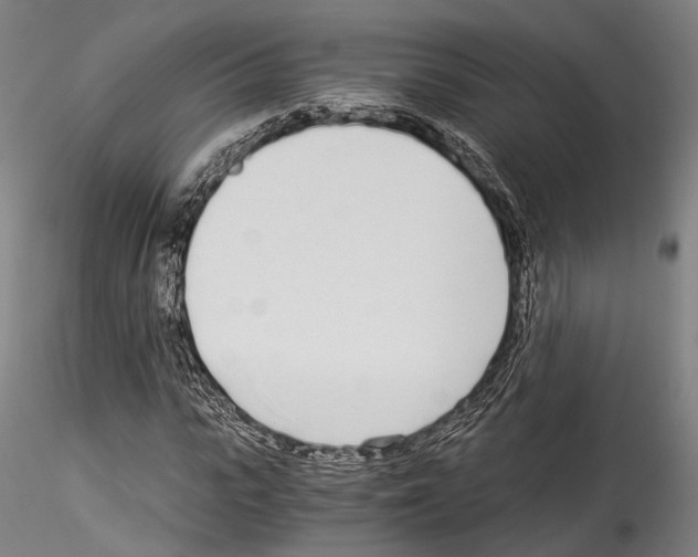 X0000114540919200911301158