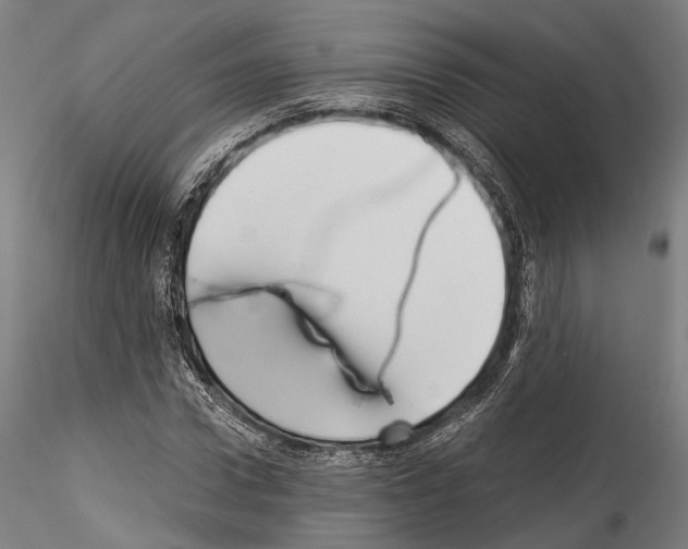 X0000114540922200911301158