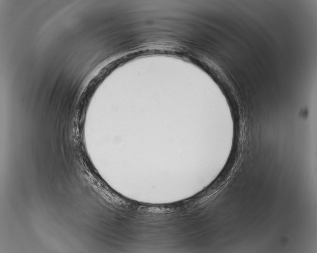 X0000114540923200911301158