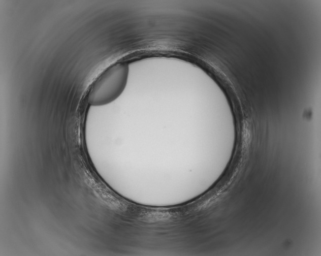 X0000114540925200911301158