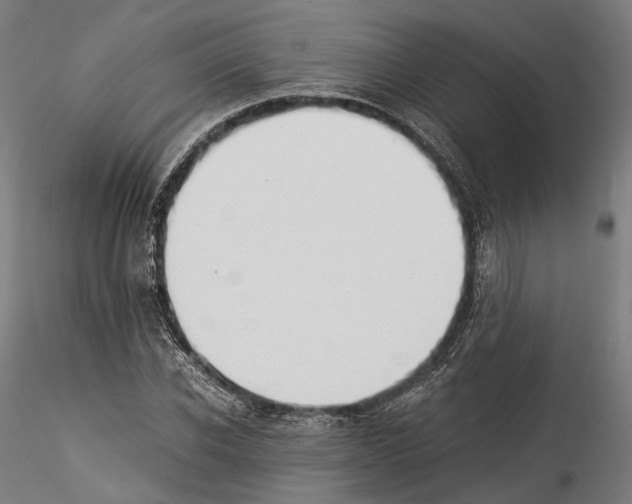 X0000114540926200911301158