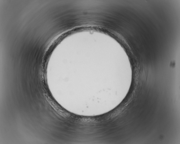 X0000114540927200911301158