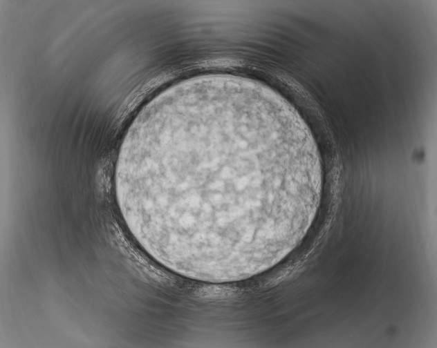 X0000114540929200911301158