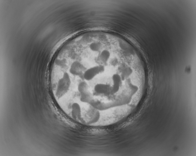 X0000114540933200911301158