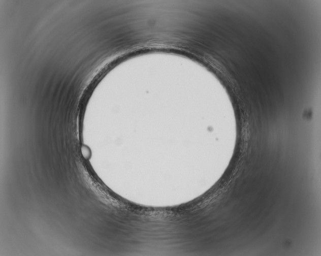 X0000114540934200911301158