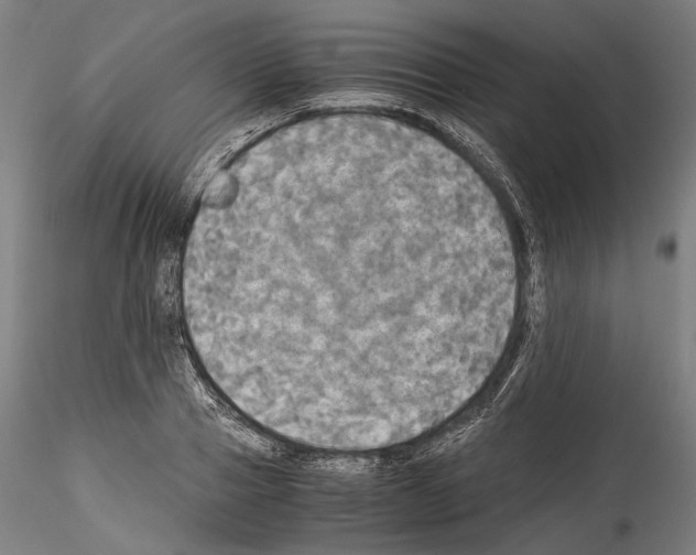 X0000114540937200911301158