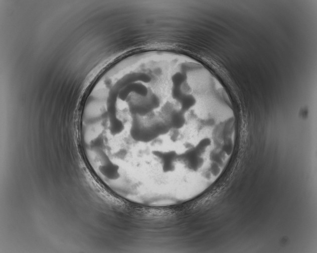 X0000114540941200911301158