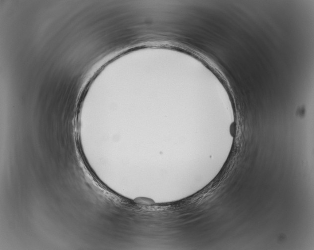 X0000114540951200911301159