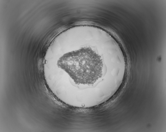 X0000114540953200911301159