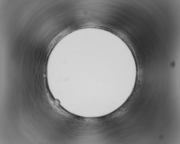 X0000114540954200911301159