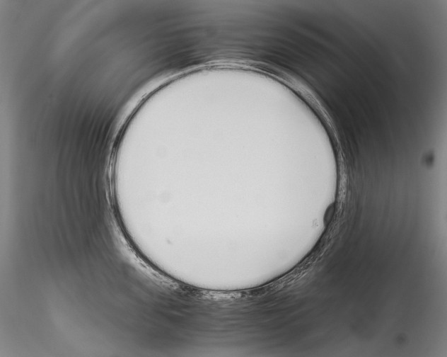 X0000114540955200911301159