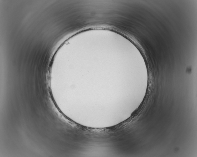 X0000114540959200911301159