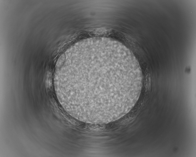 X0000114540962200911301158