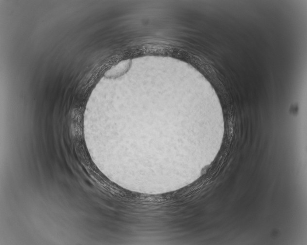 X0000114540964200911301158