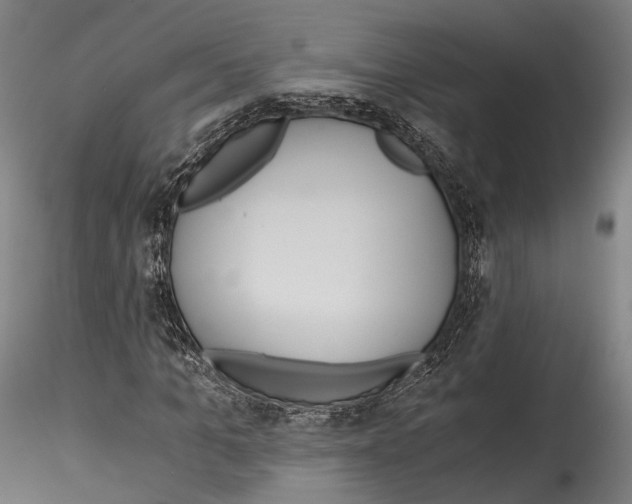 X0000114540965200911301158