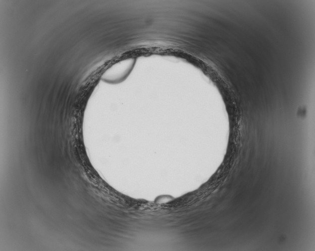 X0000114540967200911301158