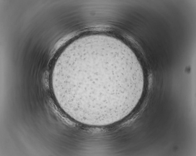 X0000114540970200911301158