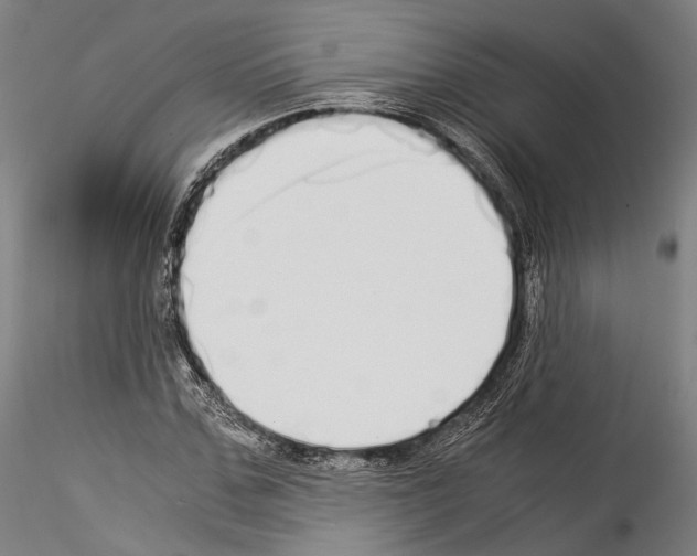 X0000114540971200911301158