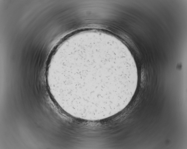 X0000114540972200911301158