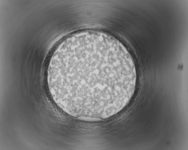 X0000114540975200911301158