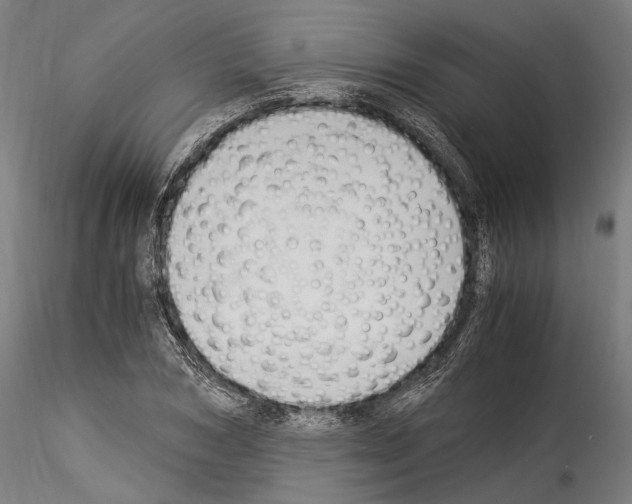 X0000114540978200911301158