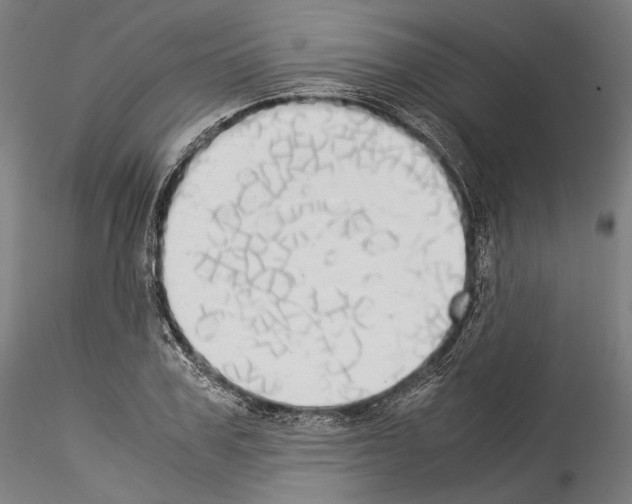 X0000114540979200911301158