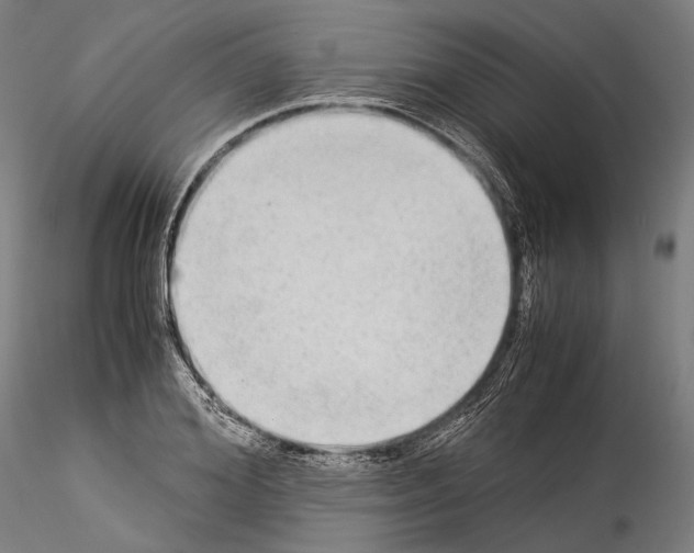 X0000114540980200911301158