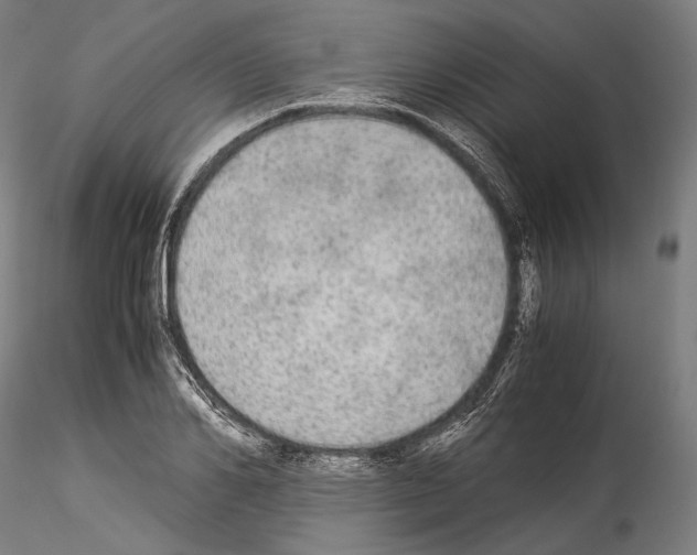 X0000114540982200911301158