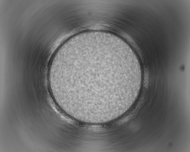 X0000114540986200911301157