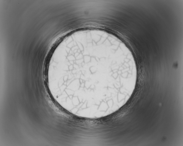 X0000114540987200911301157