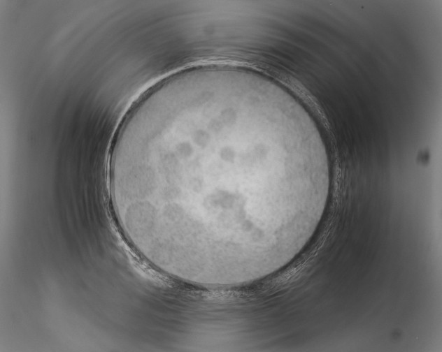 X0000114540988200911301157