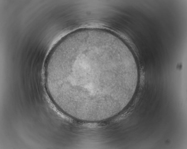 X0000114540990200911301157