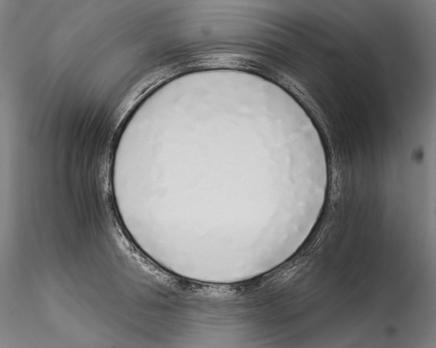 X0000114540994200911301157