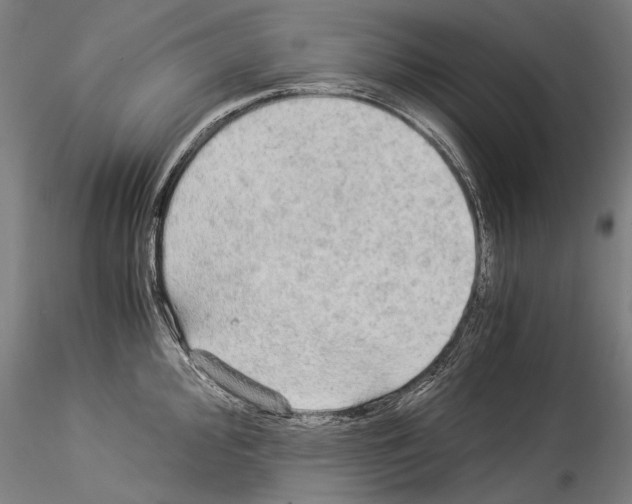 X0000114541000200911301157