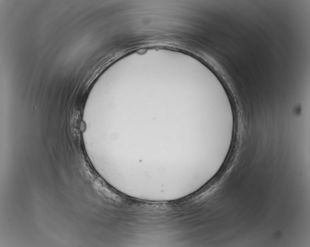 X0000114541001200911301157