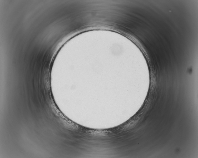 X0000114541004200911301157