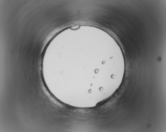 X0000114541005200911301157