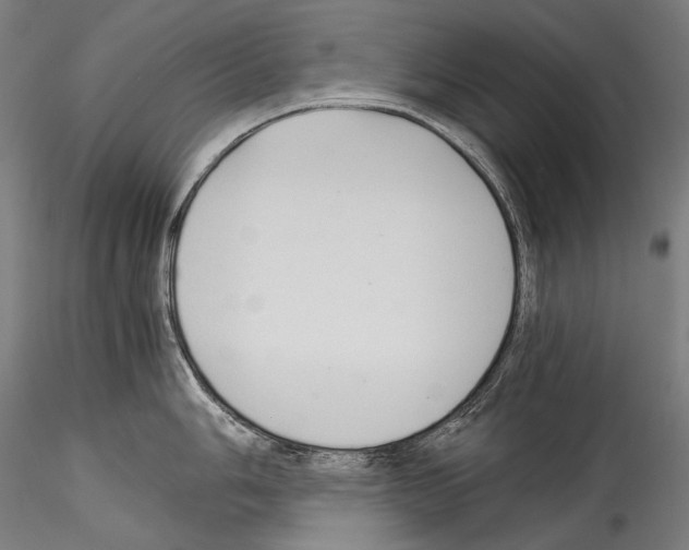 X0000114541006200911301157