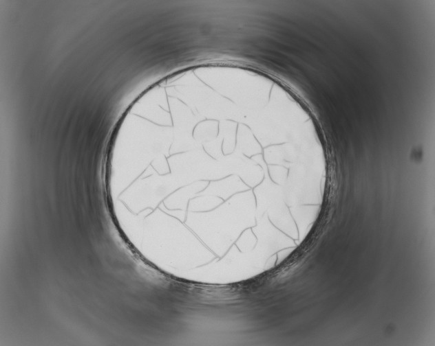 X0000114541007200911301157